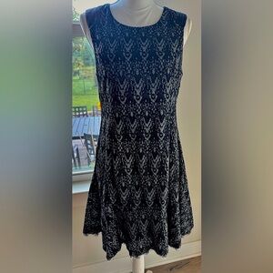 Mystree Black Lace Fabric Fit and Flare